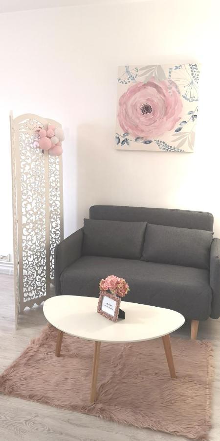 Diamond Apartment Targu Mures Ngoại thất bức ảnh