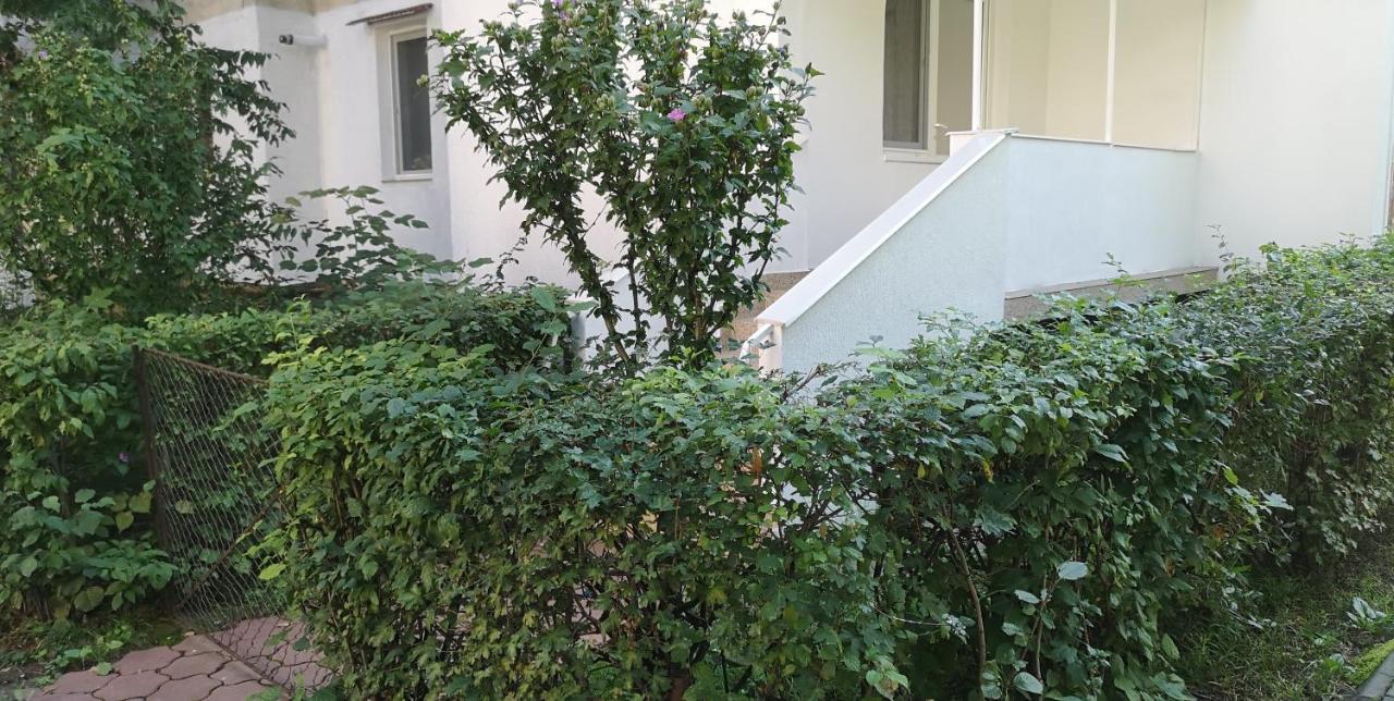 Diamond Apartment Targu Mures Ngoại thất bức ảnh