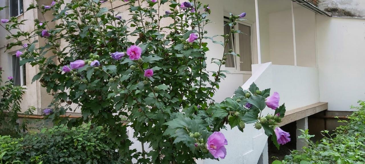 Diamond Apartment Targu Mures Ngoại thất bức ảnh